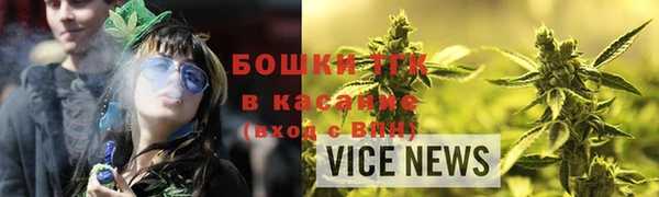 ПСИЛОЦИБИНОВЫЕ ГРИБЫ Баксан